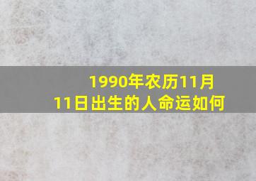 1990年农历11月11日出生的人命运如何