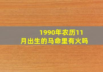 1990年农历11月出生的马命里有火吗