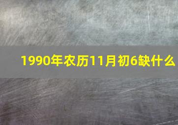 1990年农历11月初6缺什么