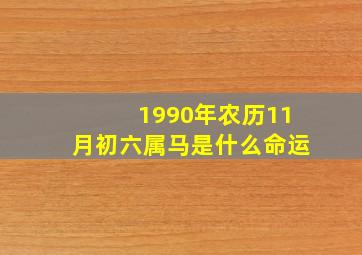 1990年农历11月初六属马是什么命运