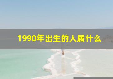 1990年出生的人属什么