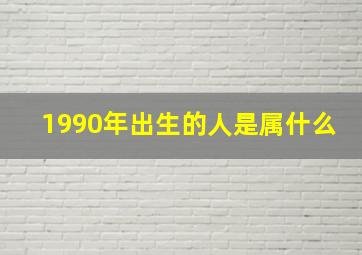 1990年出生的人是属什么