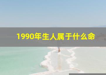 1990年生人属于什么命