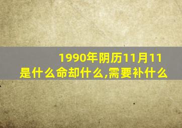 1990年阴历11月11是什么命却什么,需要补什么