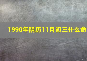 1990年阴历11月初三什么命