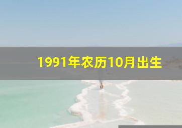 1991年农历10月出生