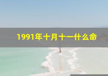 1991年十月十一什么命