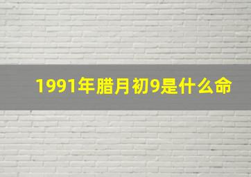 1991年腊月初9是什么命