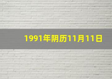 1991年阴历11月11日