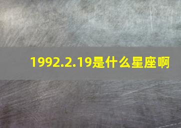 1992.2.19是什么星座啊