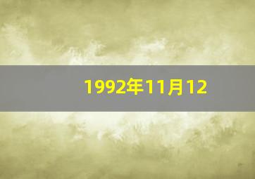 1992年11月12