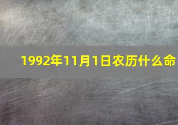 1992年11月1日农历什么命