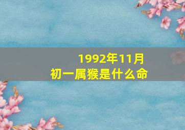 1992年11月初一属猴是什么命