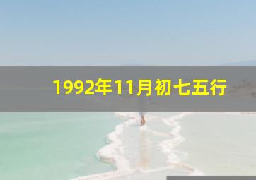 1992年11月初七五行