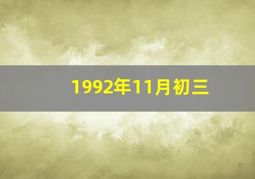 1992年11月初三