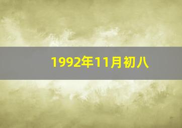 1992年11月初八