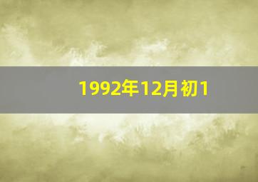 1992年12月初1