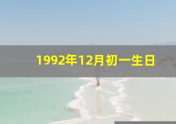 1992年12月初一生日