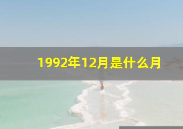 1992年12月是什么月