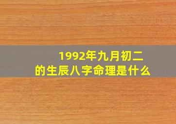 1992年九月初二的生辰八字命理是什么