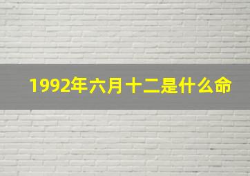 1992年六月十二是什么命