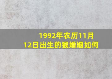 1992年农历11月12日出生的猴婚姻如何