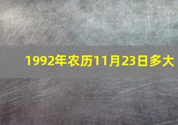 1992年农历11月23日多大