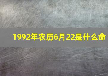 1992年农历6月22是什么命