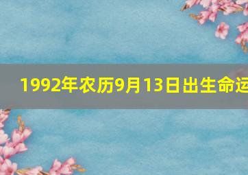 1992年农历9月13日出生命运