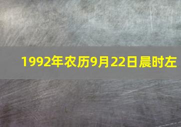 1992年农历9月22日晨时左