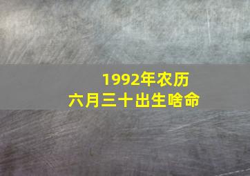 1992年农历六月三十出生啥命