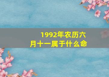 1992年农历六月十一属于什么命