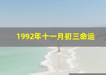 1992年十一月初三命运