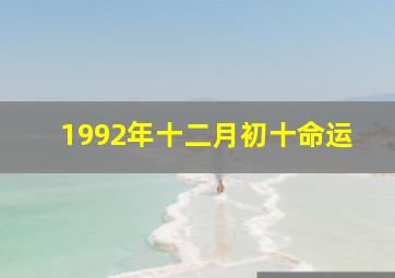 1992年十二月初十命运