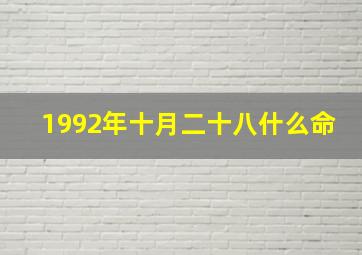 1992年十月二十八什么命