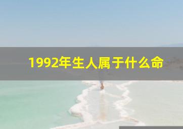 1992年生人属于什么命