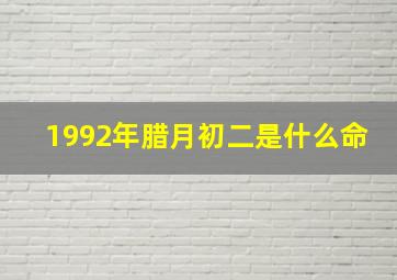 1992年腊月初二是什么命