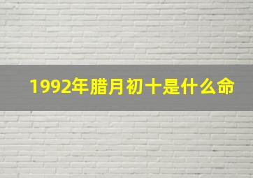 1992年腊月初十是什么命