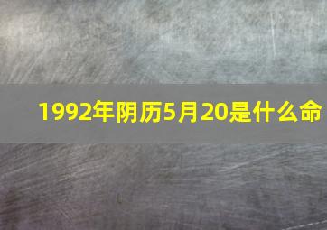 1992年阴历5月20是什么命