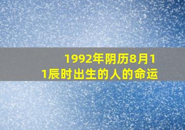 1992年阴历8月11辰时出生的人的命运