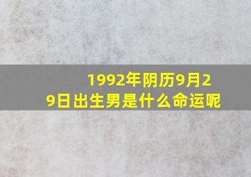 1992年阴历9月29日出生男是什么命运呢