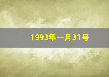 1993年一月31号