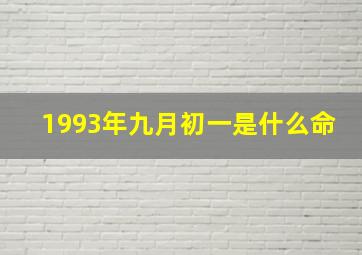 1993年九月初一是什么命