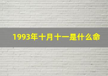 1993年十月十一是什么命