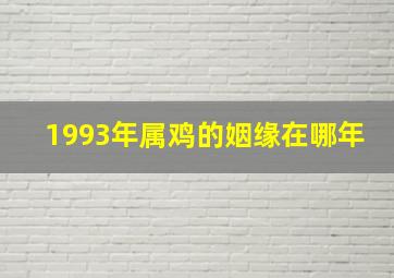 1993年属鸡的姻缘在哪年