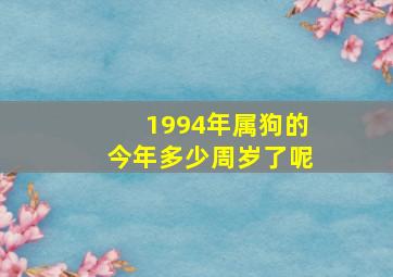 1994年属狗的今年多少周岁了呢