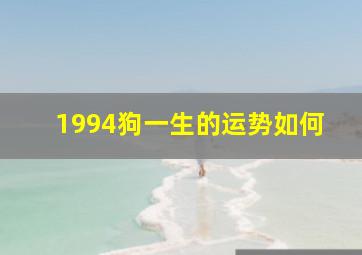 1994狗一生的运势如何