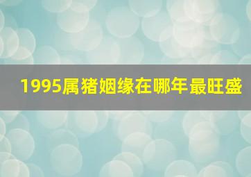 1995属猪姻缘在哪年最旺盛