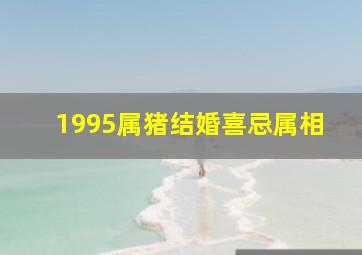 1995属猪结婚喜忌属相