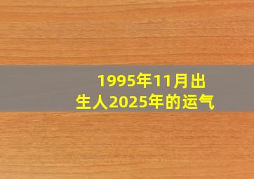 1995年11月出生人2025年的运气